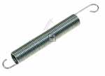 Spring - 37019789 Hinge Spring [Vestel]