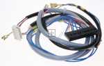 Harness - 12038701 Cable Harness [Bosch Siemens]