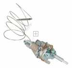 Thermostats - 8073064 Thermostat Cop Al 16-7 Gg4 2 0 44 180-co [Amica]