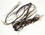 Harness - 1049181 Main Wiring Harness [Amica]
