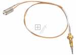 Thermocouple - 1013081 Thermoelement Lt Pt [Amica]