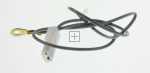 Screw - 1073542 Container Screw [Amica]