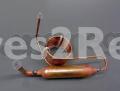 Smeg Hose - 693411138 Capillary Tube Group